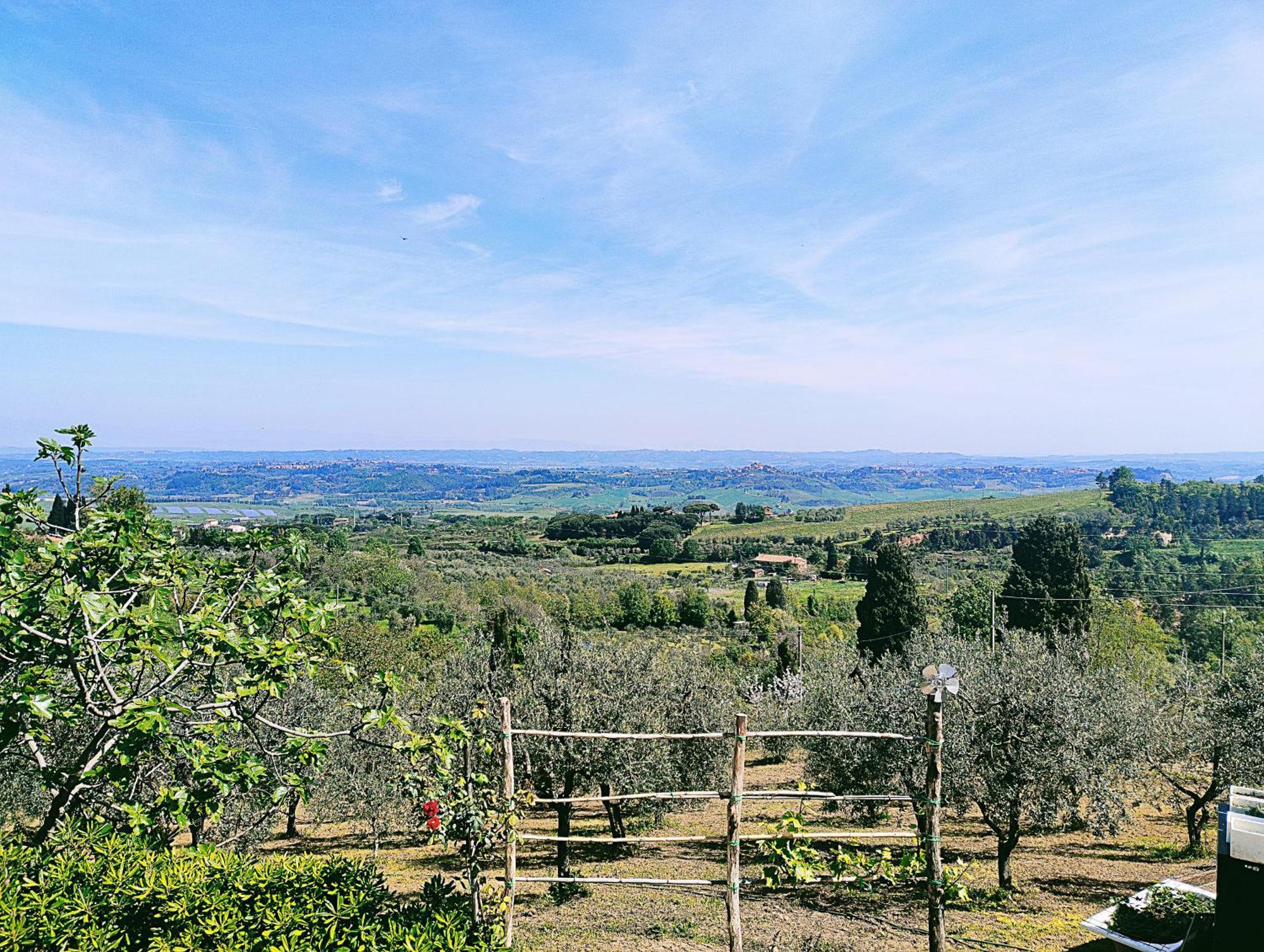 La Casina Di Colle - Appartamento Rustico Sulle Colline Di Pisa سبا كاسكيانا تيرم المظهر الخارجي الصورة